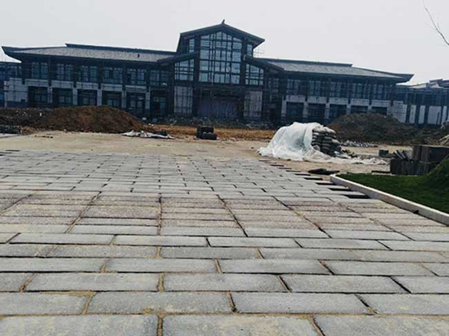 江蘇泗陽成子湖旅游度假區(qū)